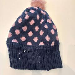 비니, iLost를 사용하여 Arriva Limburg Zuid에 보고됨