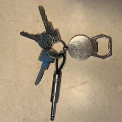 Sleutelbos, ako bolo nahlásené iLost