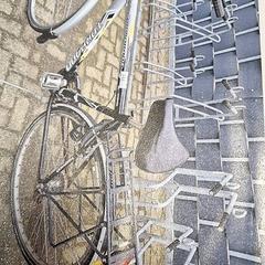 Herenfiets, as reported by Gemeente Roermond using iLost