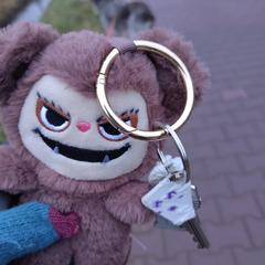 Sleutels met knuffelsleutelhanger, jak zgłoszono do iLost