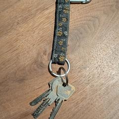 Sleutels, as reported to iLost