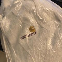 Hoodie, as reported by Sir Albert Amsterdam using iLost