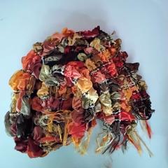 Collaret, segons ha informat Twisto mitjançant iLost