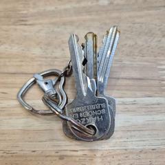 Kulcsok, amint azt Gemeente Wageningen az iLost segítségével jelentette.