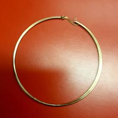 Boucle d'oreille, a été signalé par UvA REC utilisant iLost