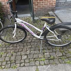 Bike Wit met paarse tekst avant garde, as reported by Gemeente Zonhoven using iLost