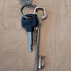 Clau, segons ha informat IKEA Lyon Grand Parilly mitjançant iLost