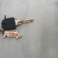 Clé, a été signalé par Arriva Achterhoek-Rivierenland utilisant iLost