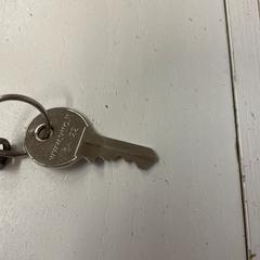 Sleutel, como reportado por DGTL Amsterdam utilizando o iLost