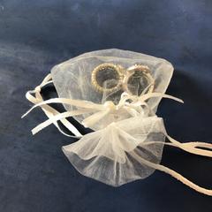 İLost kullanarak Qbuzz U-OV tarafından bildirildiği gibi Yüzükler