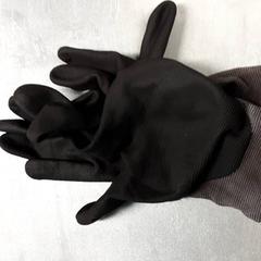 Gants Zwart, a été signalé par Arriva Friesland / Groningen utilisant iLost