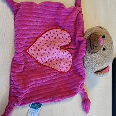 Koselig smell Roze, som rapportert av Connexxion Haarlem IJmond ved bruk av iLost