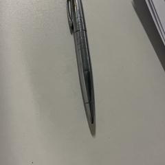 القلم، كما تم الإبلاغ عنه بواسطة Silver Sands Beach عبر iLost