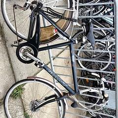 Pánské kolo giant, jak nahlášeno Stadswerk072 pomocí iLost