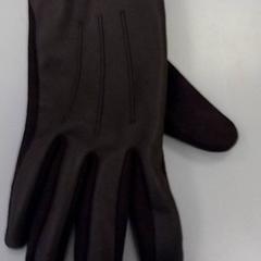 Guant Bruin, segons ha informat Vrije Universiteit Amsterdam mitjançant iLost