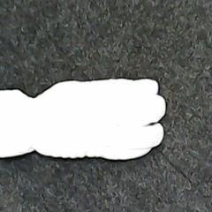 Glove, as reported by SnowWorld Landgraaf using iLost