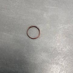 반지, iLost를 사용하여 Arriva Friesland / Groningen에 보고됨