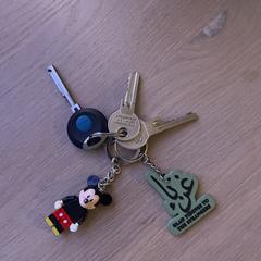 sleutels, segundo informou a iLost