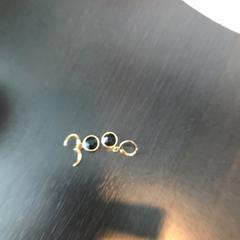 Oorbellen, ha sido reportado por Van der Valk Hotel Veenendaal con iLost