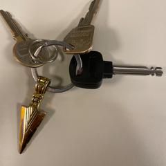 Sleutels, zoals gemeld door Pathé Schiedam met iLost