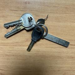 Sleutelbos, ha sido reportado a iLost