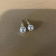 Arracada, segons ha informat Familie Resort Molenwaard mitjançant iLost