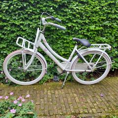 witte kinderfiets, som rapporterats till iLost