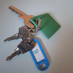 Sleutelbos met groene tag en blauwe sleutelhanger, gerapporteerd met iLost