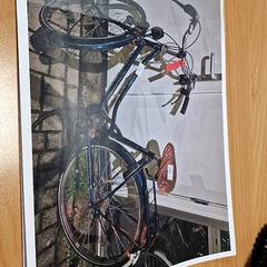 Damenrad, gemeldet von Gemeente Roermond über iLost