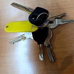 Clauer, segons ha informat Gemeente Zutphen mitjançant iLost