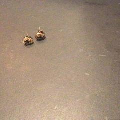 Earring earrings, as reported by Van der Valk Hotel Amsterdam Zuidas using iLost