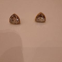 Earrings, as reported by Van der Valk Hotel Schiphol using iLost