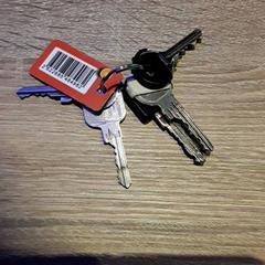 Schlüssel, gemeldet von EBS Tramplein über iLost