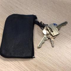 Chaveiro com chaves, como reportado por Gemeente Arnhem utilizando o iLost