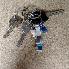 Nøkkelring, som rapportert av Qbuzz GD Groningen Peizerweg ved bruk av iLost