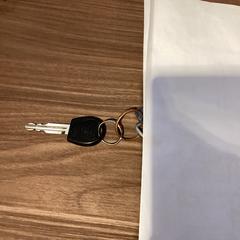 Nyckelring - 141025 DIST, rapporterat av Ziggo Dome med iLost