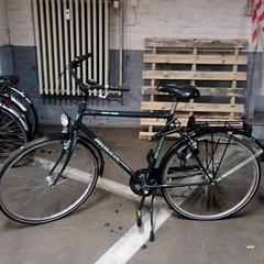 Bicicleta masculina minerva Groen, segons ha informat Fietsdepot Hasselt mitjançant iLost