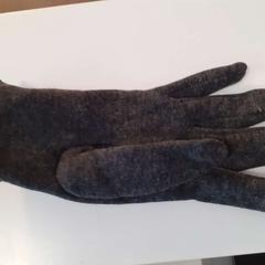 Guanti, come riportato da Regio Limburg - Leuven utilizzando iLost