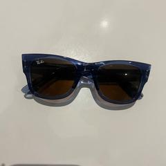Sluneční brýle Rayban, jak nahlášeno Van der Valk Avifauna pomocí iLost