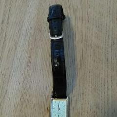 Orologio goud, come riportato da Hortus utilizzando iLost