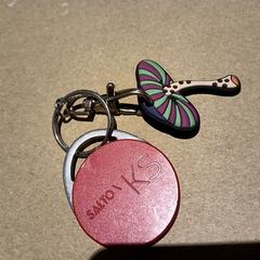 Sleutel tag, jak bylo nahlášeno na iLost