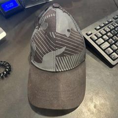 Kappe grijs, gemeldet von Hotel Van der Valk Harderwijk op de Veluwe über iLost