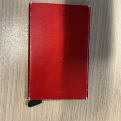 Titolare della carta Legtenberg, come riportato da Gemeente Arnhem utilizzando iLost