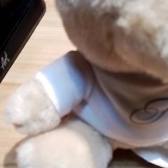 İLost kullanarak Beekse Bergen Resorts en Hotel tarafından bildirildiği gibi Oyuncak