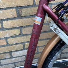 Fiets, gerapporteerd met iLost