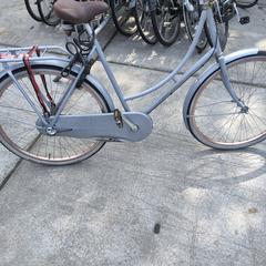 Cortina, as reported by Stadswerk072 using iLost