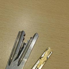 Giltza-giltza, gisa salatu by Walibi Holland iLost erabiliz