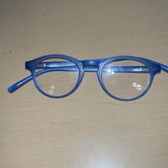 Bril Blauw, zoals gemeld door Jaarbeurs met iLost