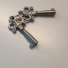 Sleuteltjes, segundo informou Ziekenhuis Oost-Limburg usando iLost