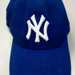 Casquette Blauw, as reported by Burgers' Zoo using iLost